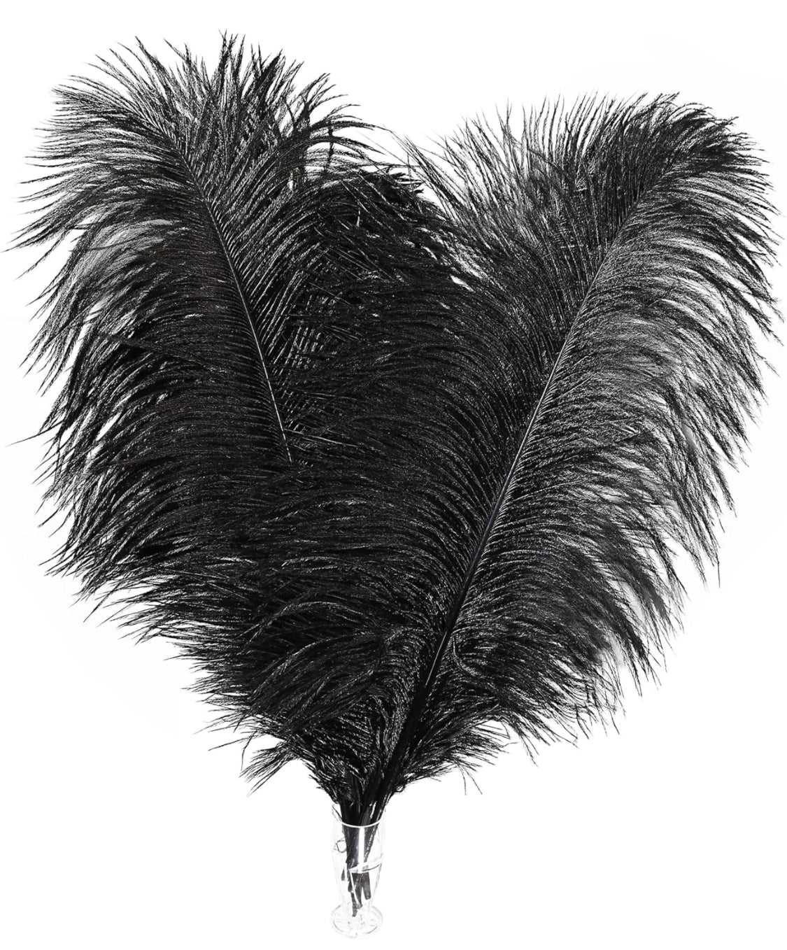 Black Smudging Feather