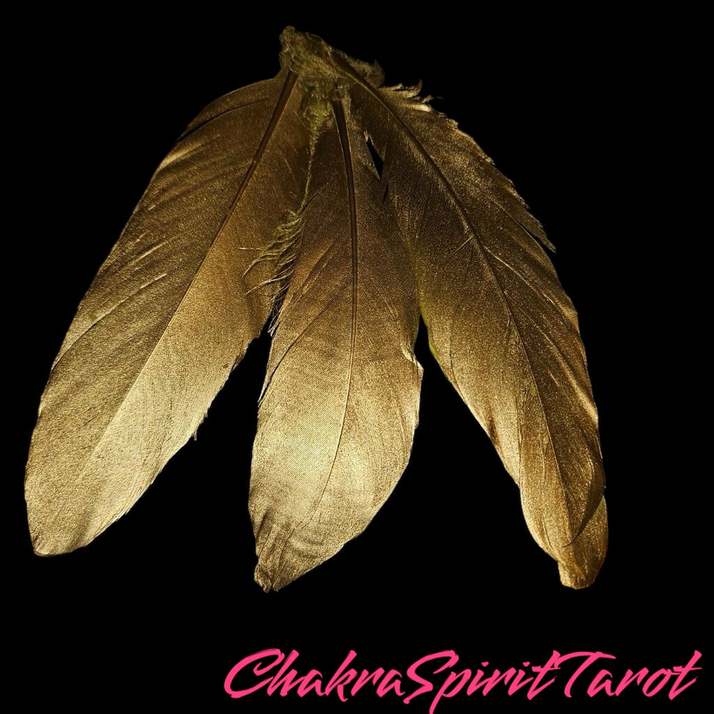 3 Lurcosy(Spirit of LUCK & MONEY) SMUDGING Feather!